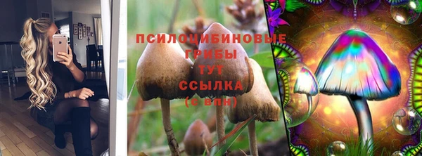 спайс Аркадак
