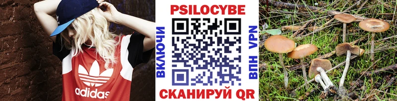 Псилоцибиновые грибы GOLDEN TEACHER  Салаир 